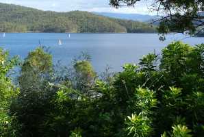 HINZE DAM 2006(014)